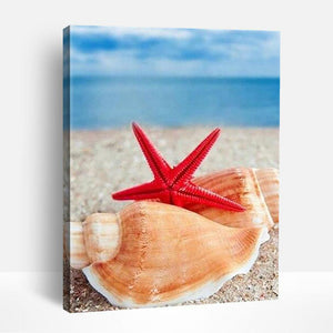 Seashell and Starfish | Paint By Numbers