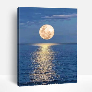 Moon Reflections | Paint By Numbers