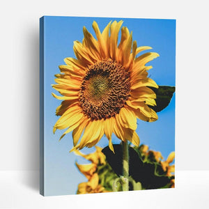 Sunny Sunflower | Paint By Numbers