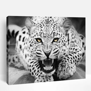 Leopard in Black & White | Paint By Numbers