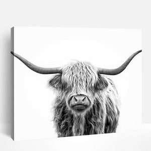 Highland Cow in Black & White | Paint By Numbers