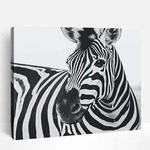 Zebra in Black & White | Paint By Numbers