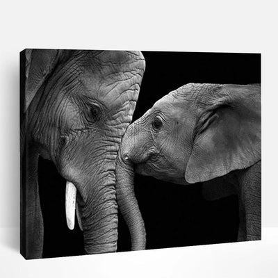 Elephants in Black & White | Paint By Numbers