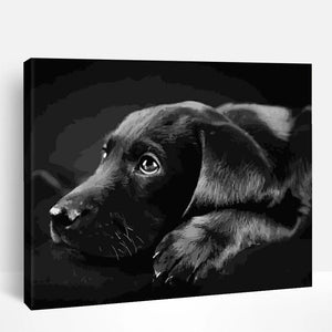 Dog in Black & White | Paint By Numbers