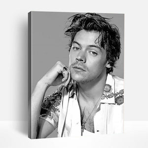 Harry Styles in Black and White | Paint By Numbers