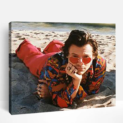 Harry Styles Malibu Beach | Paint By Numbers