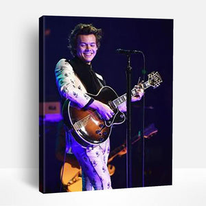 Harry Styles on Stage | Paint By Numbers