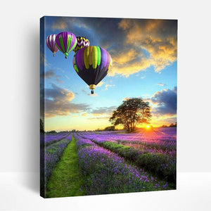 Lavender Fields | Paint By Numbers