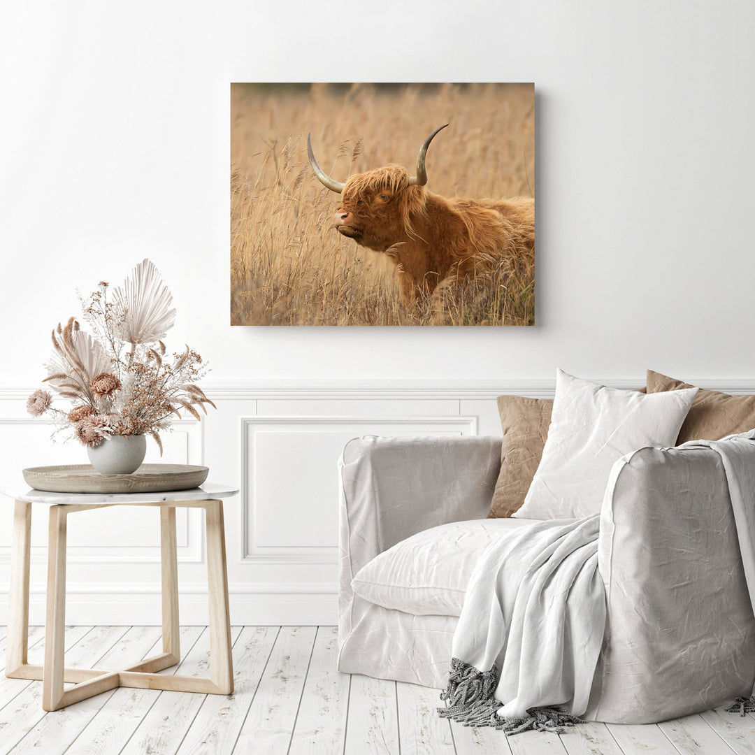 Highland Cow | Diamond Painting