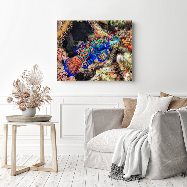 Mandarin Fish | Diamond Painting
