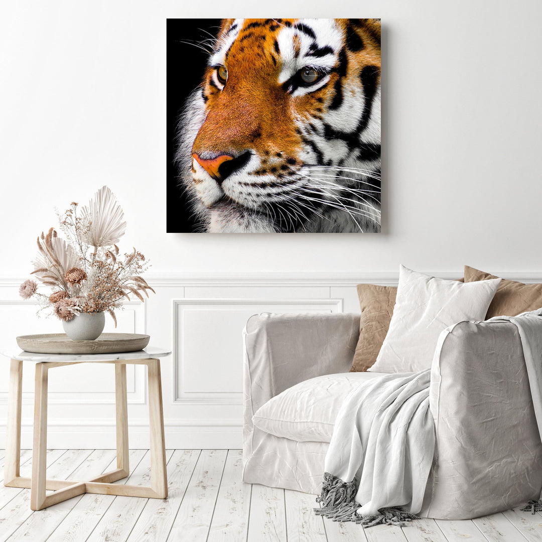 Tiger | Diamond Painting