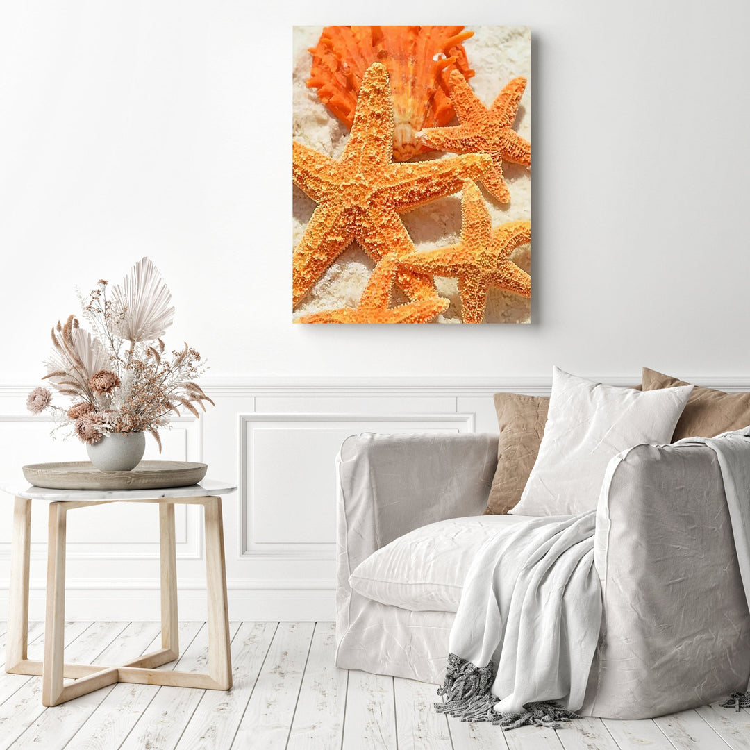 Orange Shells Beach Aesthetic | Diamond Painting