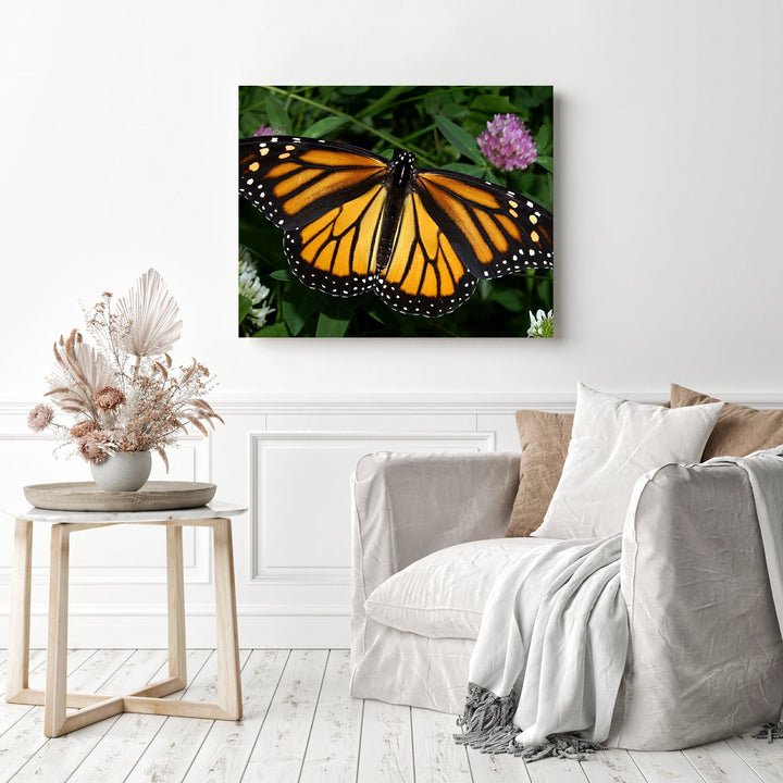 Monarch Butterfly | Diamond Painting