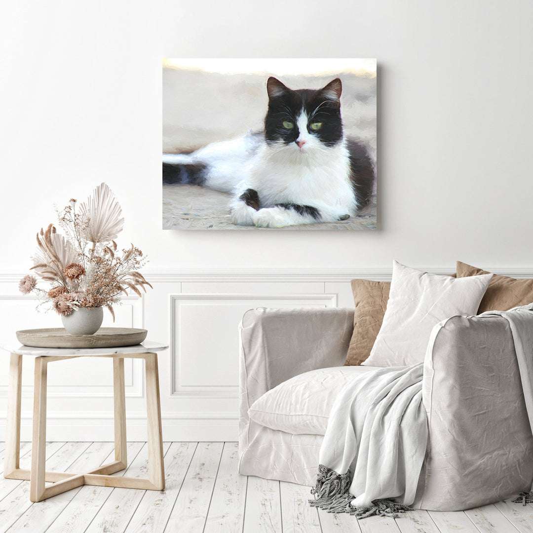 Bicolor Black Cat | Diamond Painting