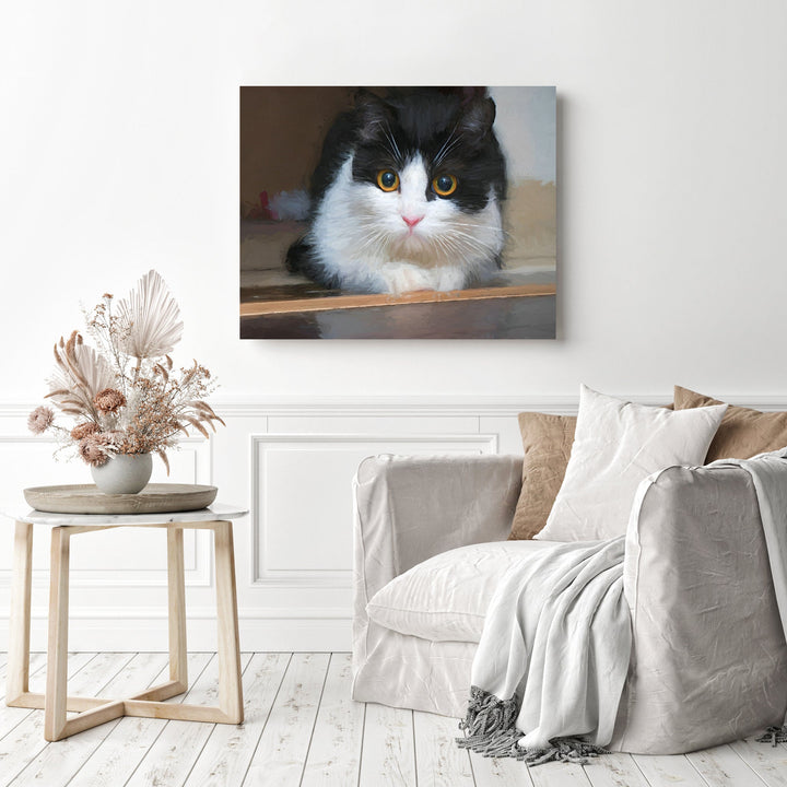 Black Cat White Cat | Diamond Painting