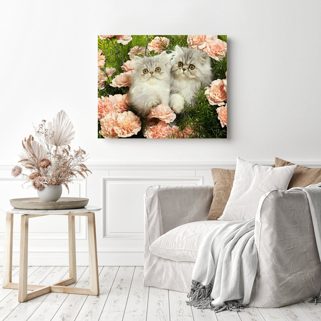 Persian Cats | Diamond Painting