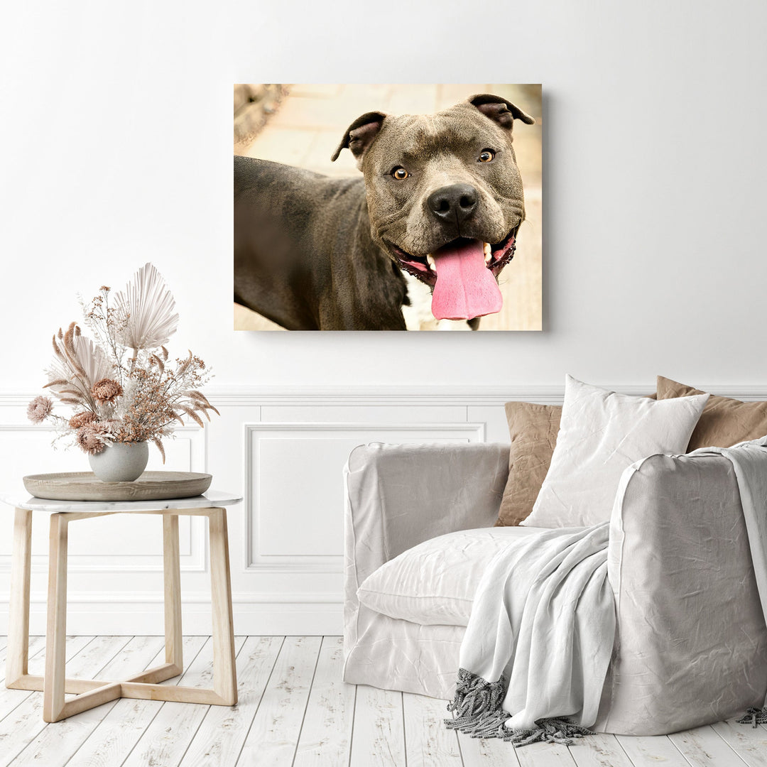 American Pitbull Dogs | Diamond Painting