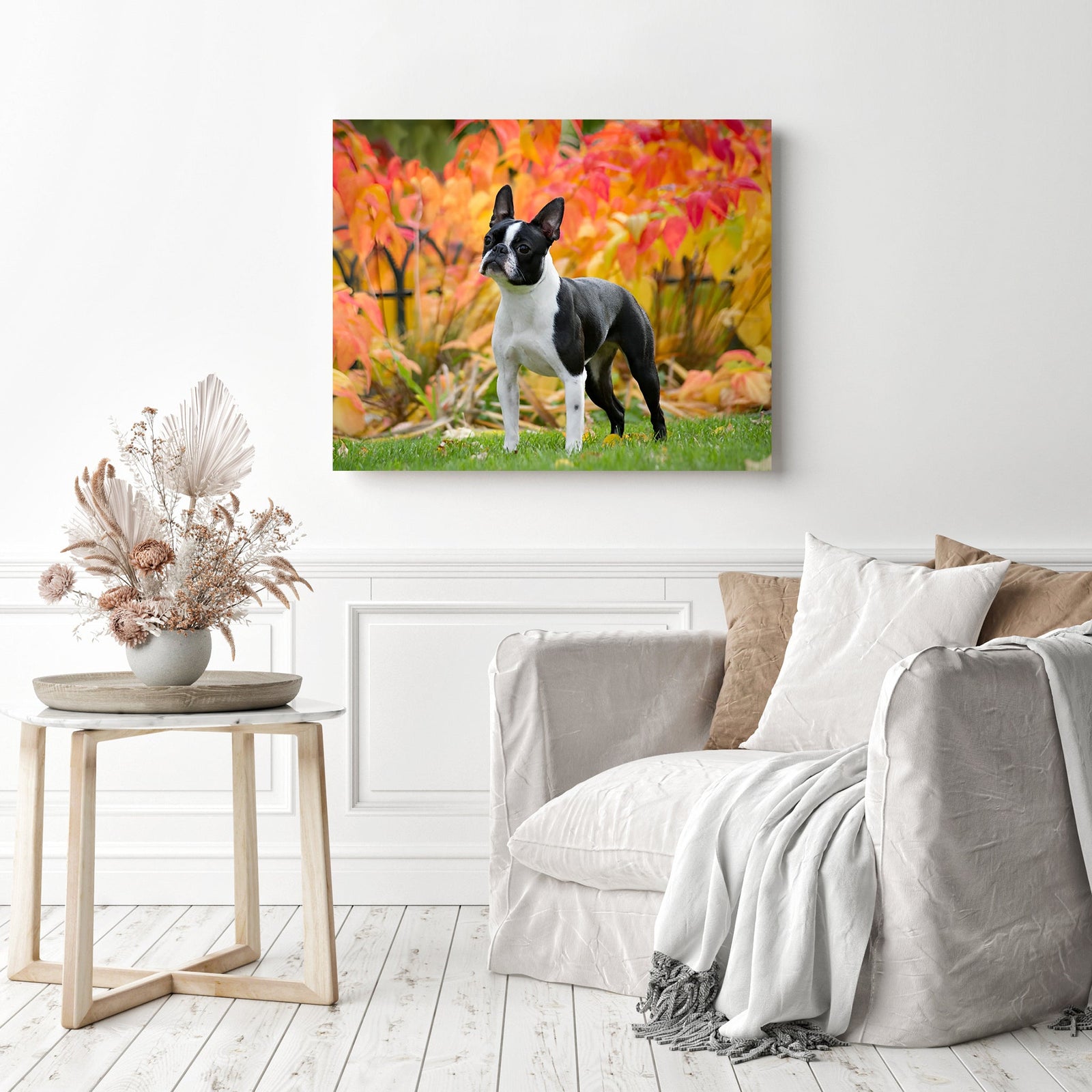 Cute Boston Terrier | Diamond Painting Displayed as Home Decor