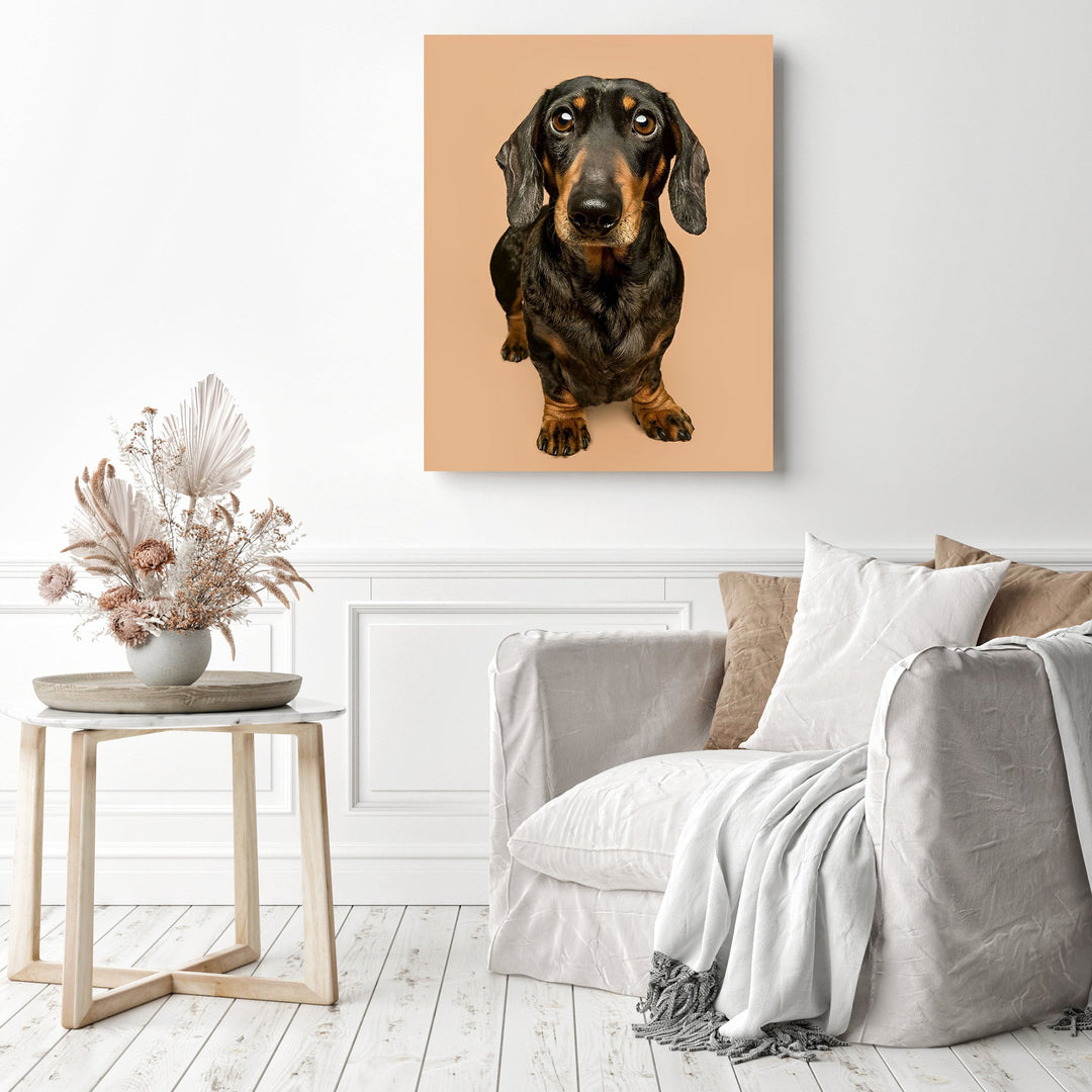 Dachshund Portrait | Diamond Painting