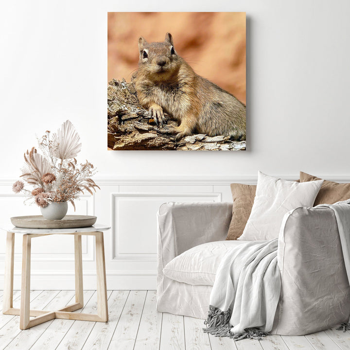 Lounging Squirrel | Diamond Painting
