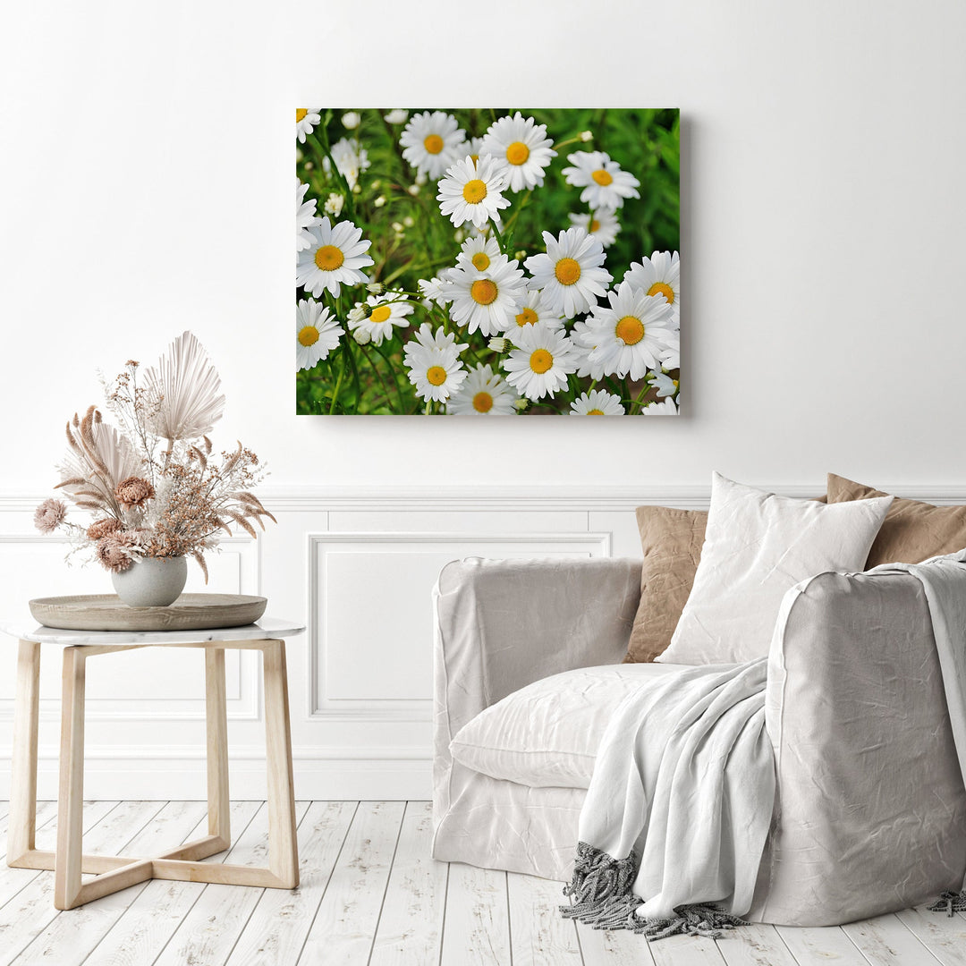 Little Daisies | Diamond Painting