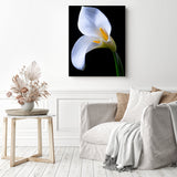 Two In Love | Diamond Painting Displayed as Home Decor