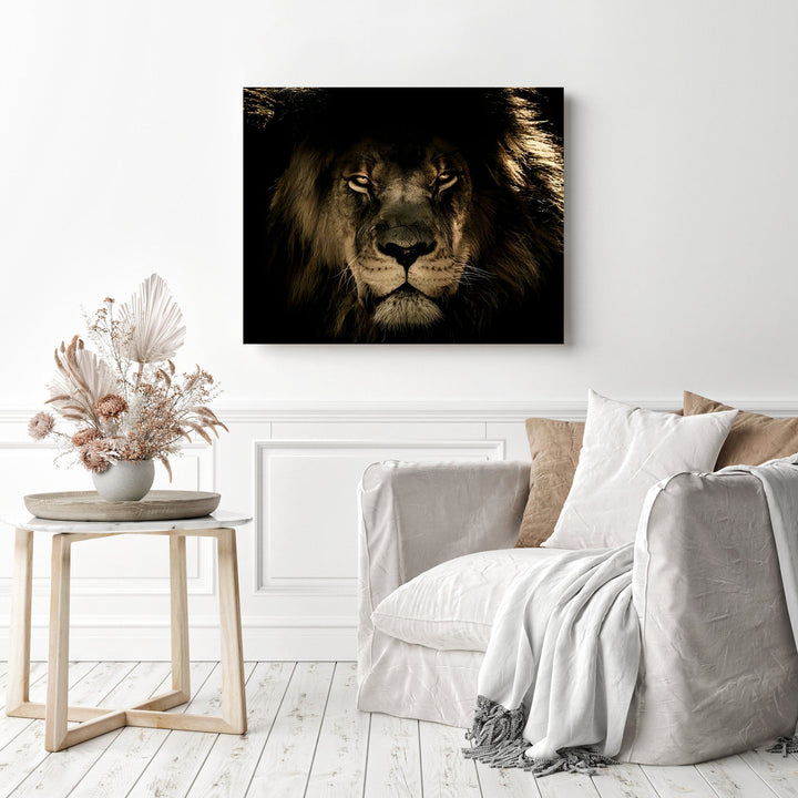 African Lion | Diamond Painting