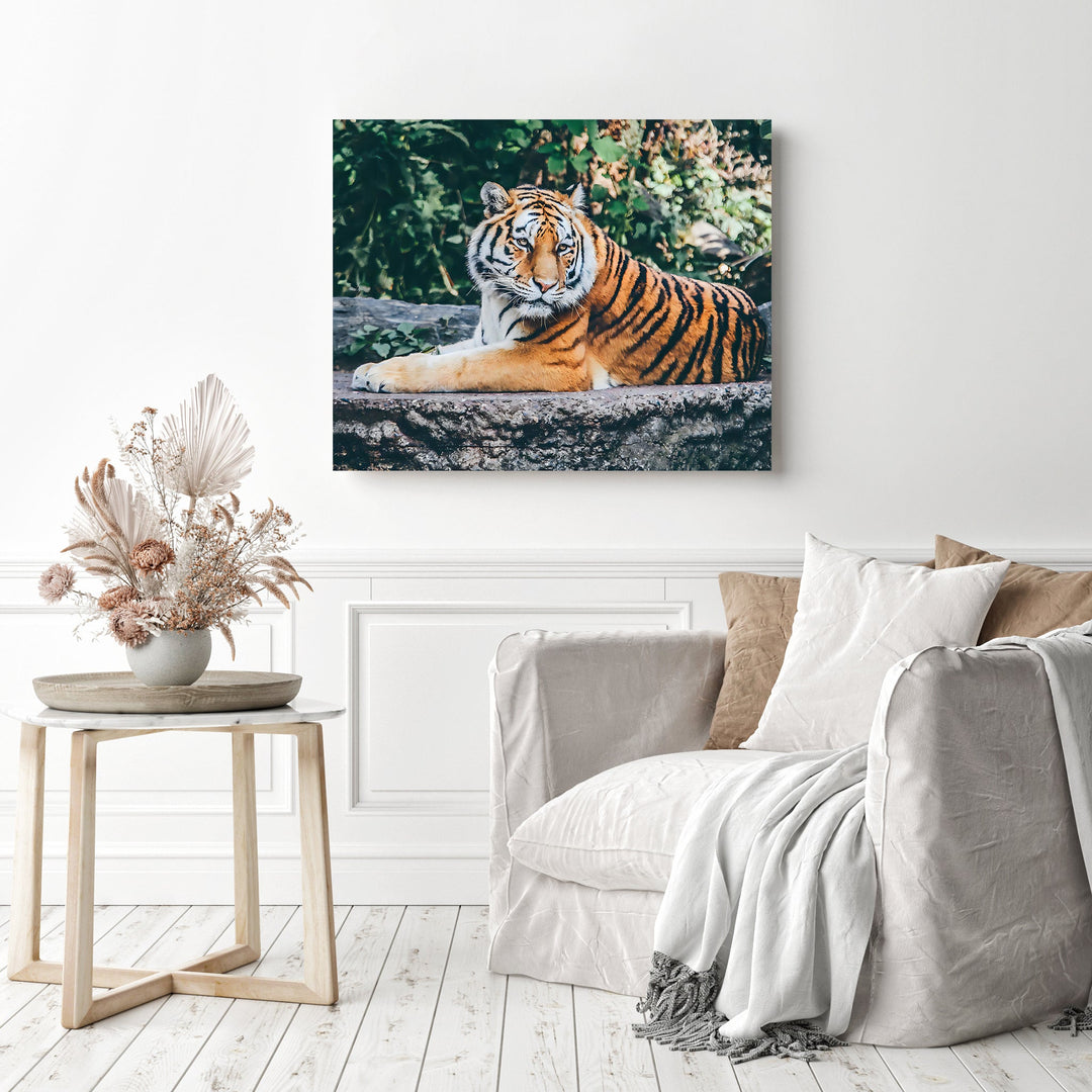 Tiger | Diamond Painting