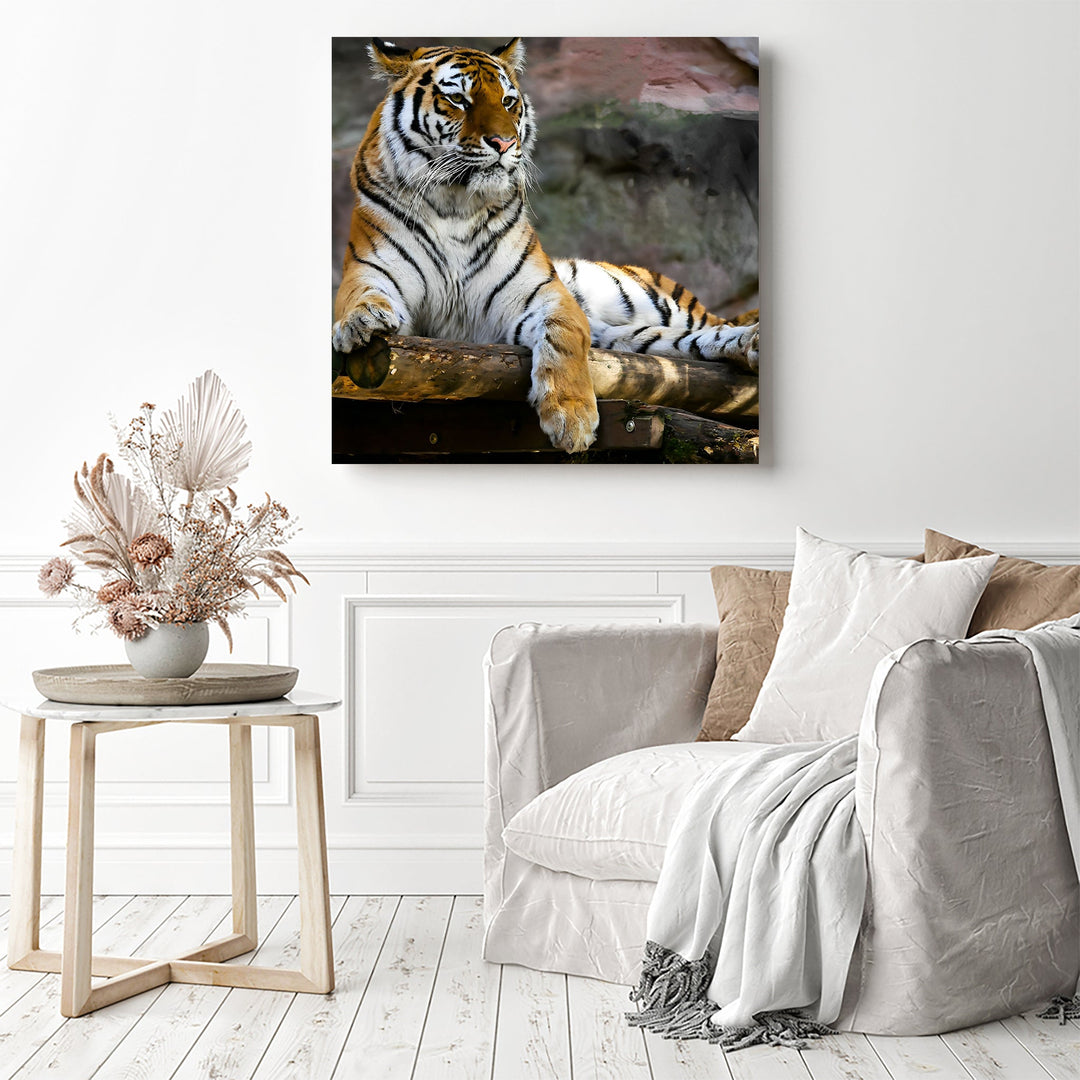 Tiger | Diamond Painting