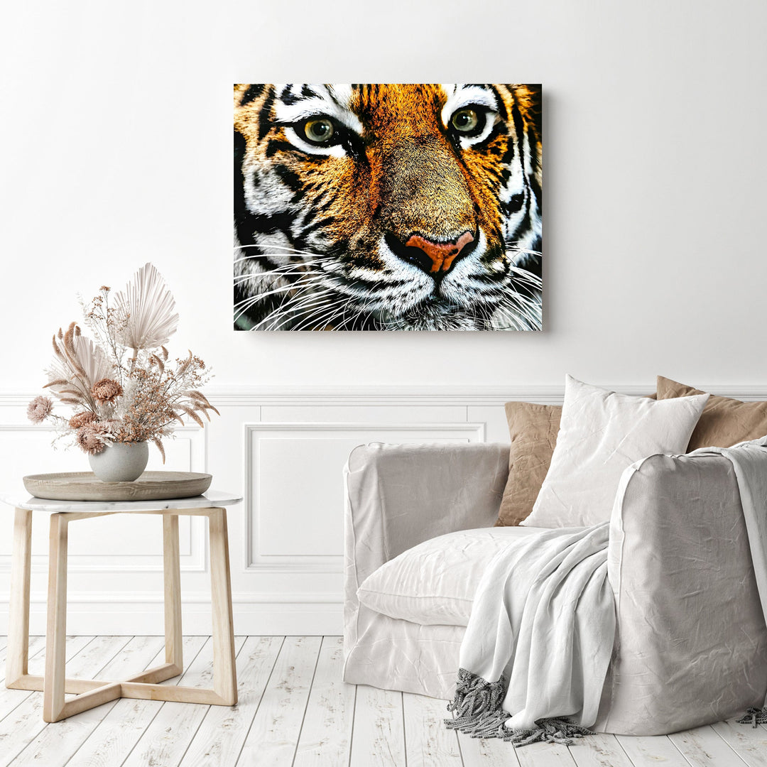 Big Cat | Diamond Painting