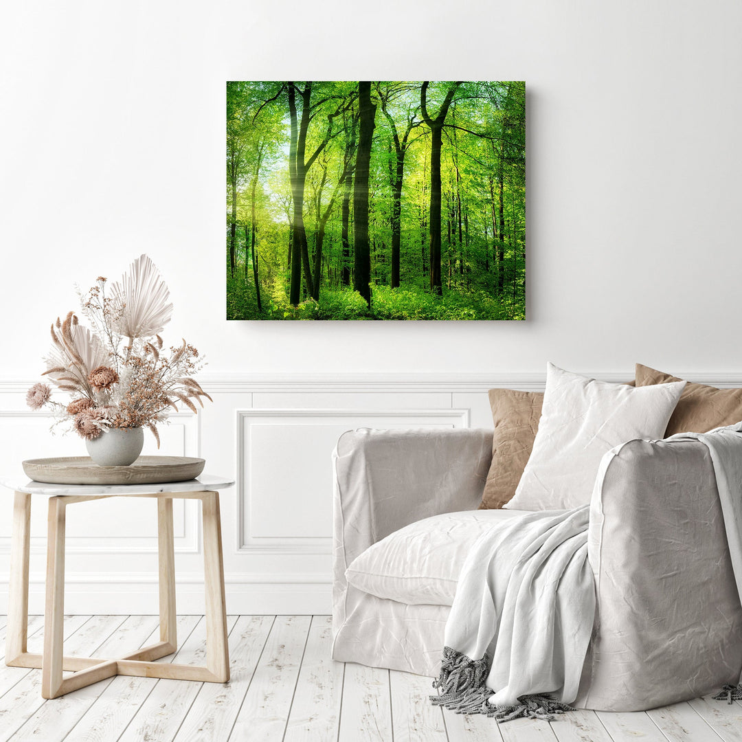 Green Summer Trees | Diamond Painting