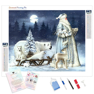 Santa Claus at Arctic | Diamond Painting