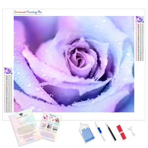 Winter Rose | Diamond Painting