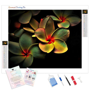 Abstract Frangipani | Diamond Painting