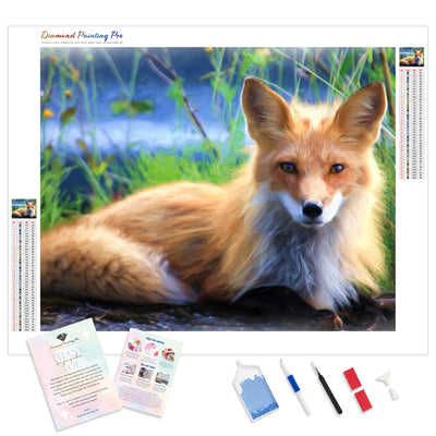 Fox | Diamond Painting