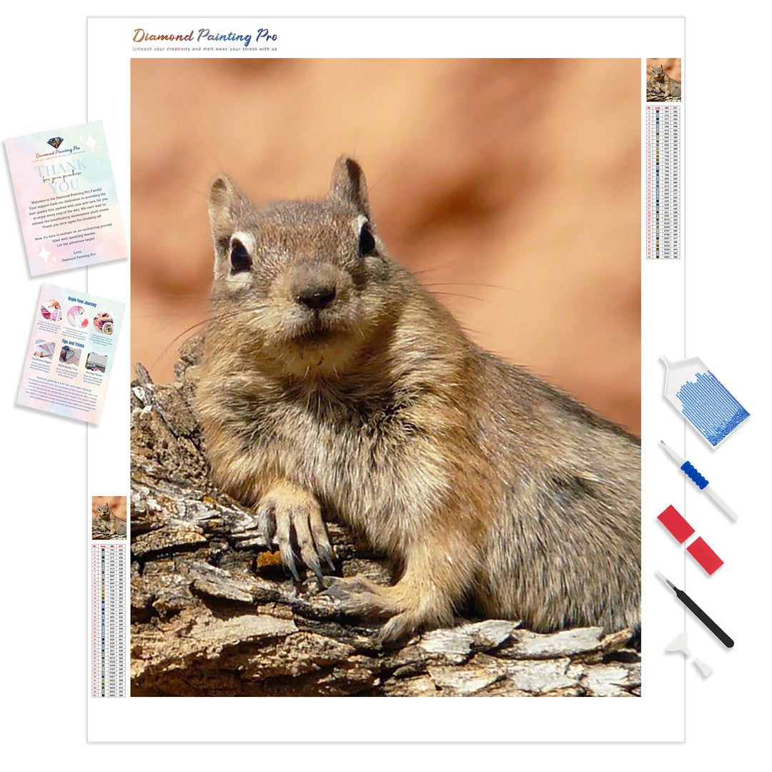 Lounging Squirrel | Diamond Painting Kit - Full Drill - Square or Round Diamonds with AB Drills Option