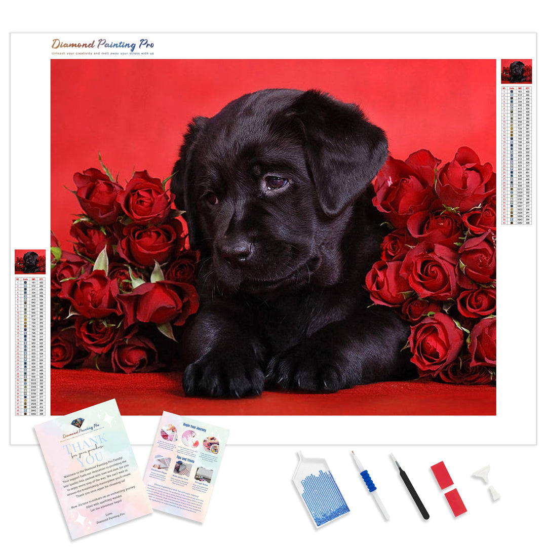 Black Labrador Gift | Diamond Painting Kit - Full Drill - Square or Round Diamonds with AB Drills Option