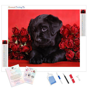 Black Labrador Gift | Diamond Painting