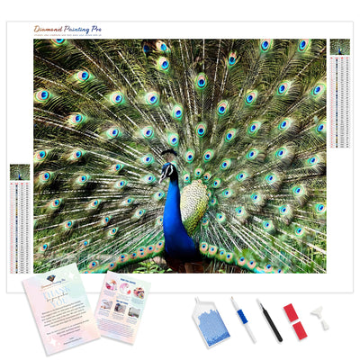 Blue and Green Peacock | Diamond Painting Kit - Full Drill - Square or Round Diamonds with AB Drills Option