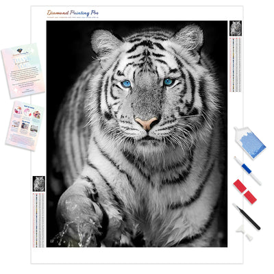 Blue Eyed Snow Tiger | Diamond Painting