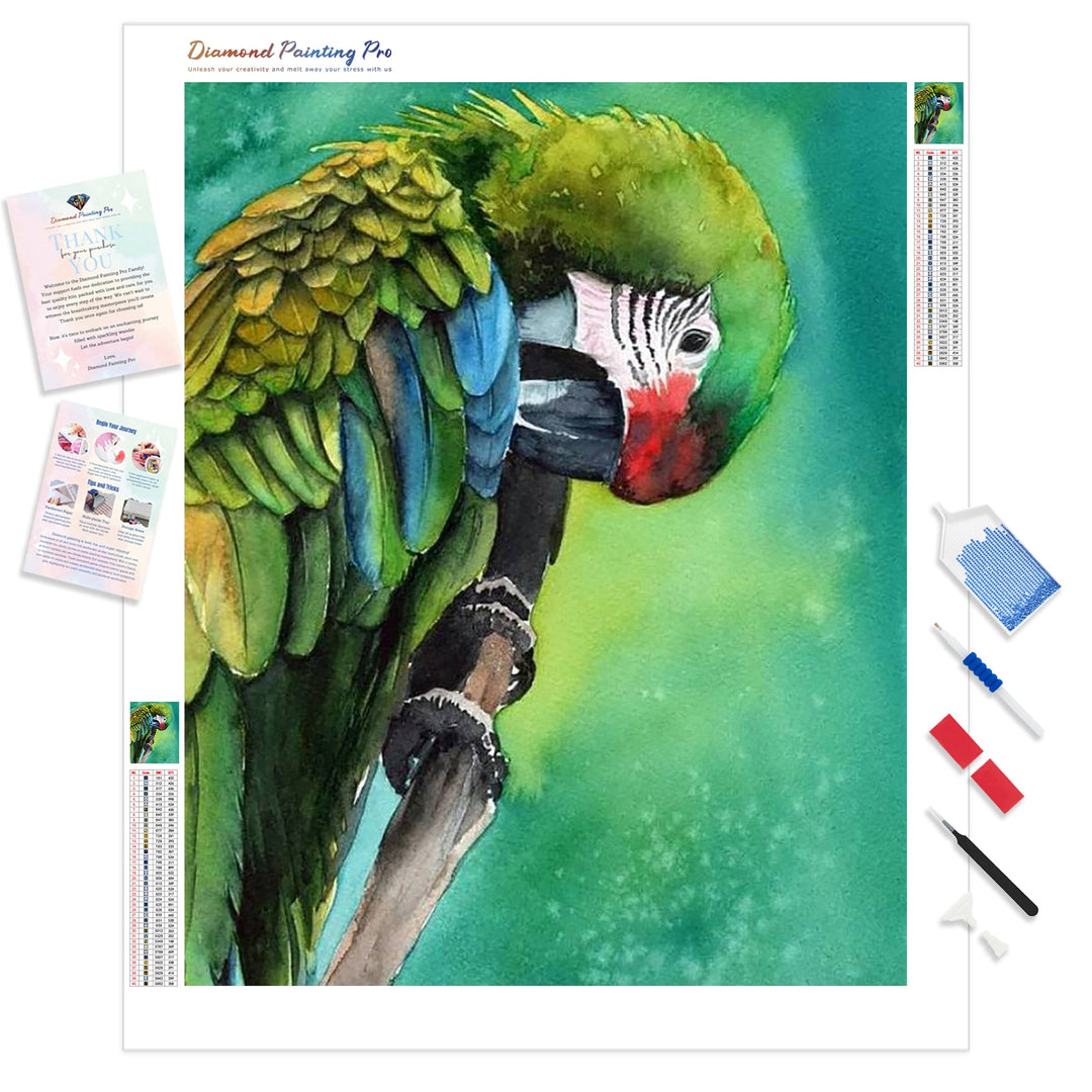 Colorful Parrot | Diamond Painting Kit - Full Drill - Square or Round Diamonds with AB Drills Option