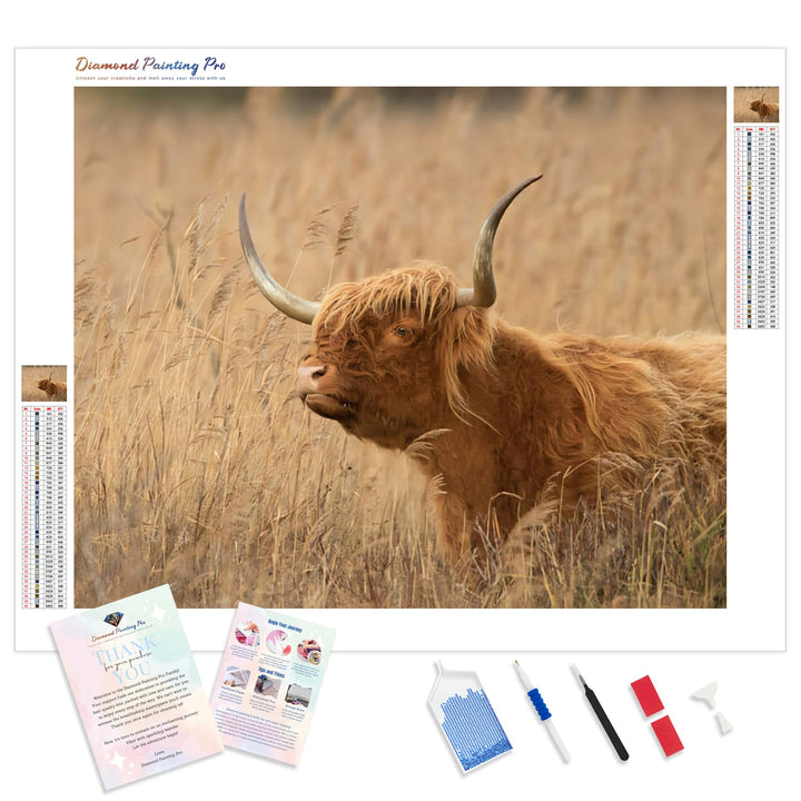 Highland Cow | Diamond Painting