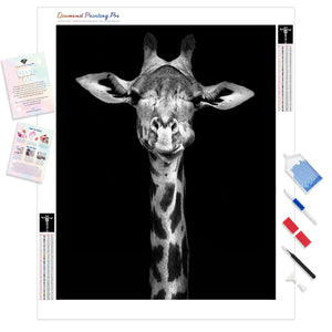 Black and White Giraffe | Diamond Painting