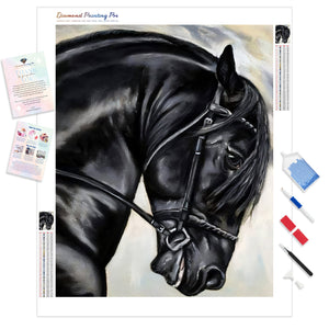 Black Friesian Horse | Diamond Painting