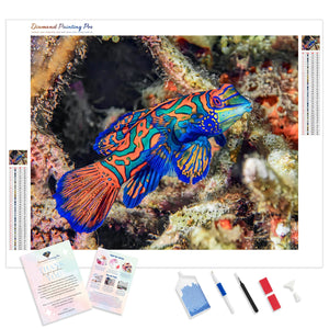 Mandarin Fish | Diamond Painting