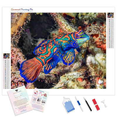 Mandarin Fish | Diamond Painting Kit - Full Drill - Square or Round Diamonds with AB Drills Option