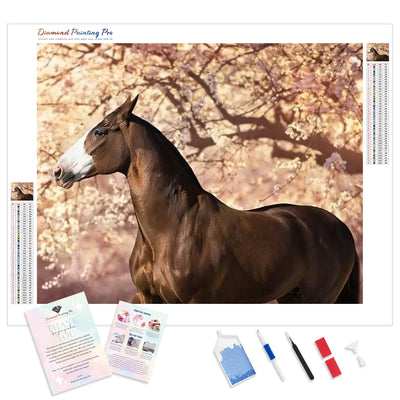 Prairie Brown Horse | Diamond Painting