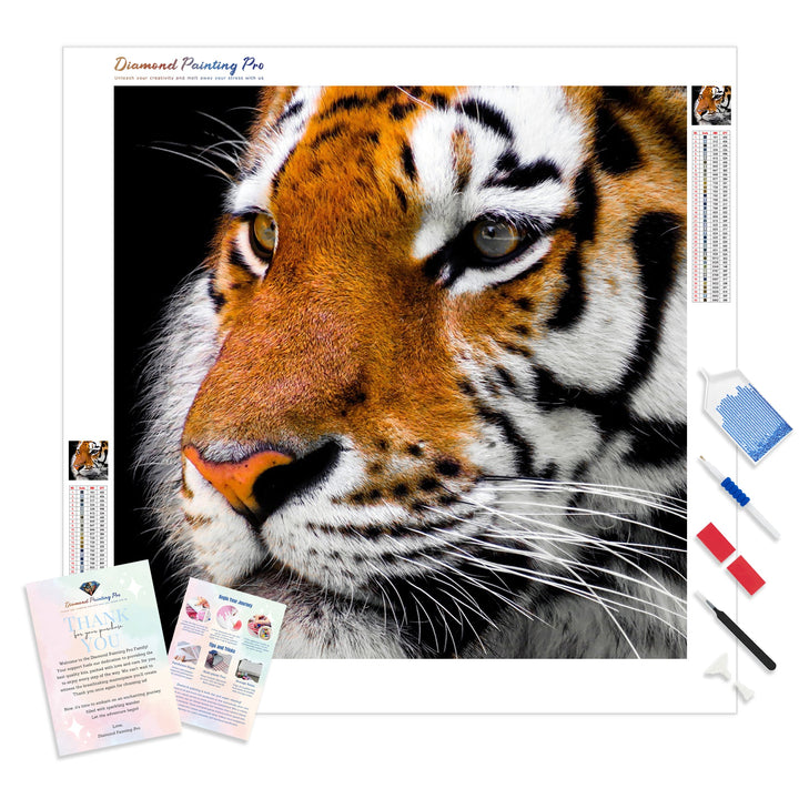 Tiger | Diamond Painting