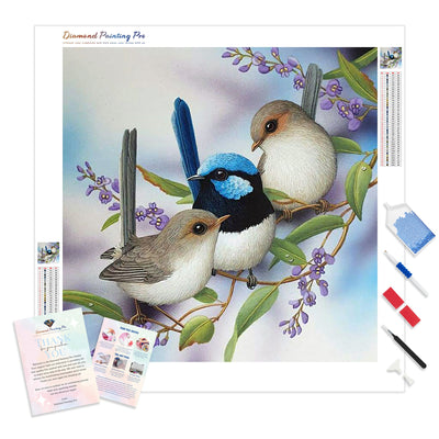 Wrens & Hardenbergia | Diamond Painting