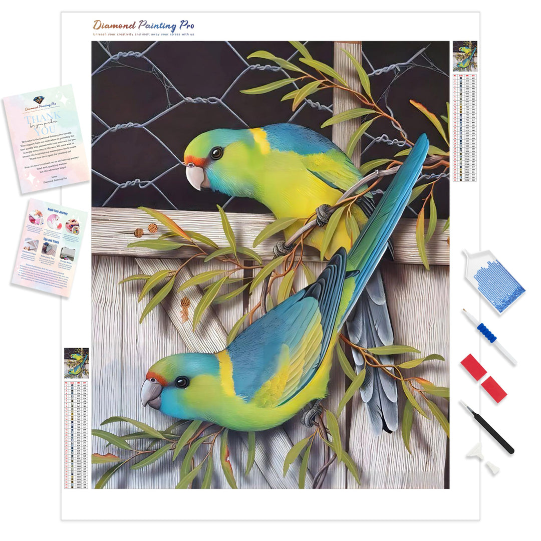 Mallee Ringnecks | Diamond Painting Kit - Full Drill - Square or Round Diamonds with AB Drills Option